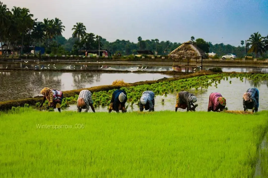 Santhoshinte Farm Stay Kollengode 0*,  Ινδία