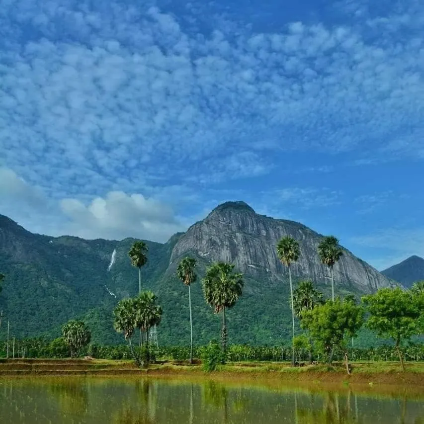 Santhoshinte Farm Stay Kollengode