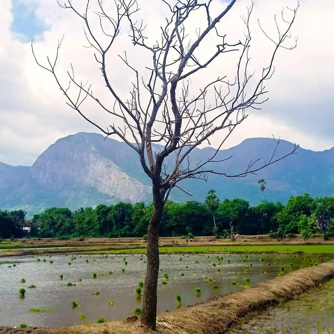 Santhoshinte Farm Stay Kollengode Βίλα