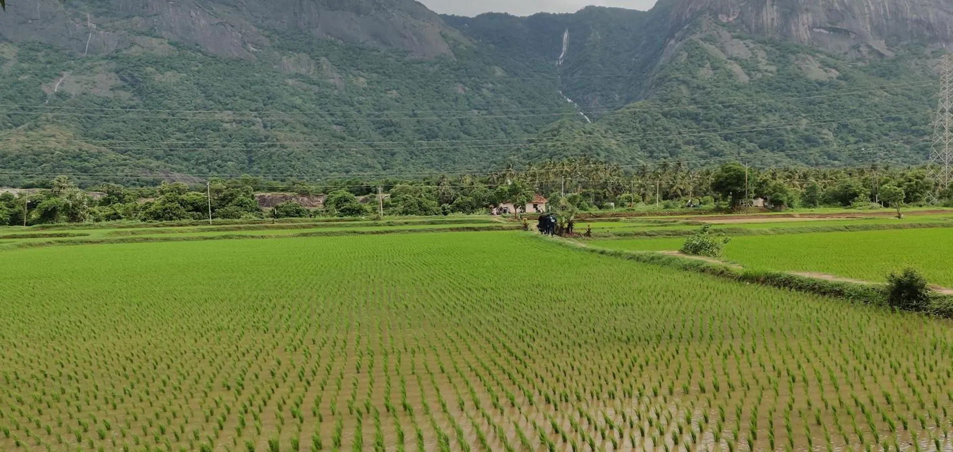 Santhoshinte Farm Stay Kollengode